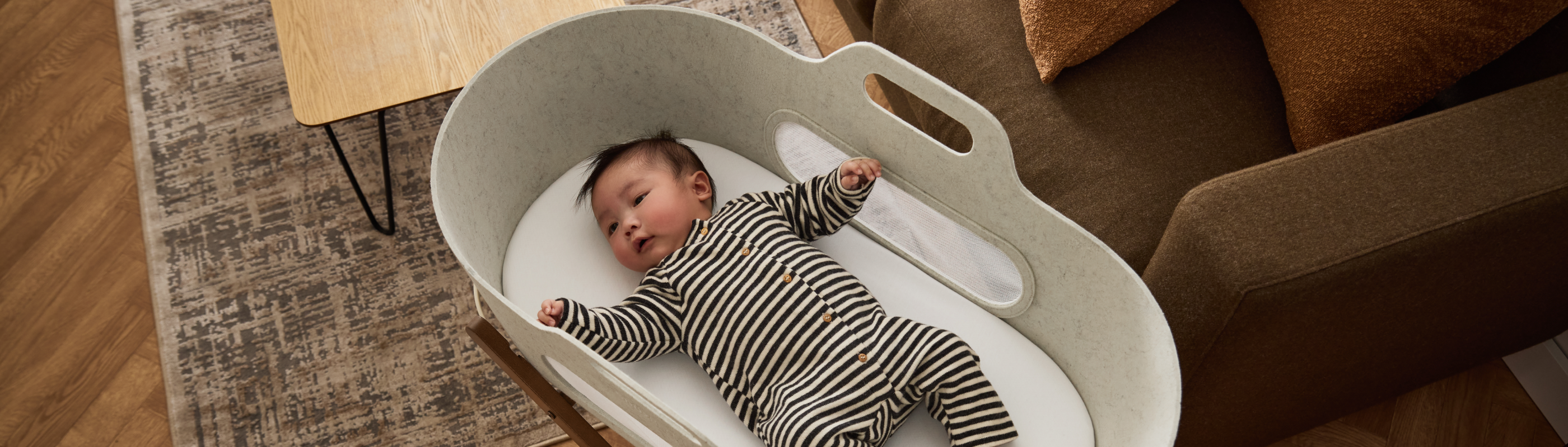Moses Baskets